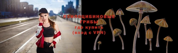 ГАЛЛЮЦИНОГЕННЫЕ ГРИБЫ Алексин