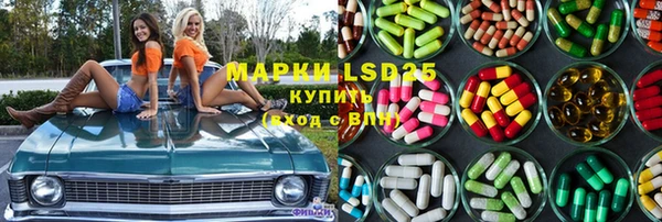 ГАЛЛЮЦИНОГЕННЫЕ ГРИБЫ Алексин