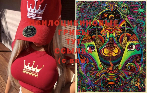 прущие крисы Алексеевка
