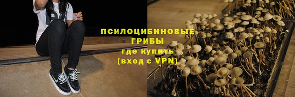 прущие крисы Алексеевка