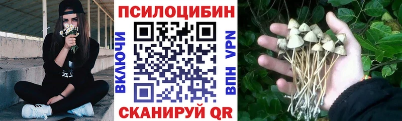 Псилоцибиновые грибы ЛСД  как найти   Темрюк 