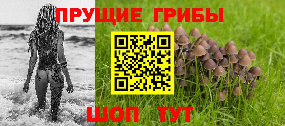 Галлюциногенные грибы прущие грибы Темрюк