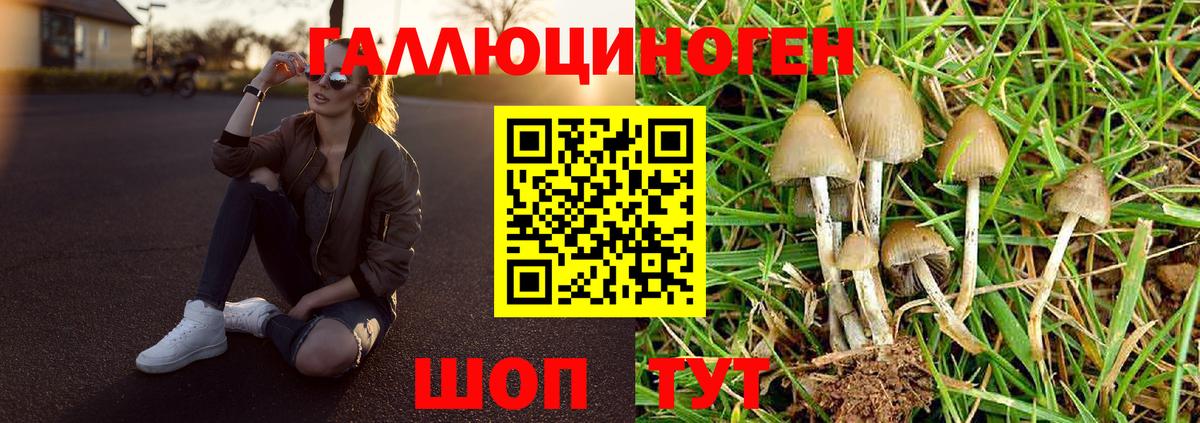 Темрюк  Галлюциногенные грибы Psilocybine cubensis  Вход с VPN 